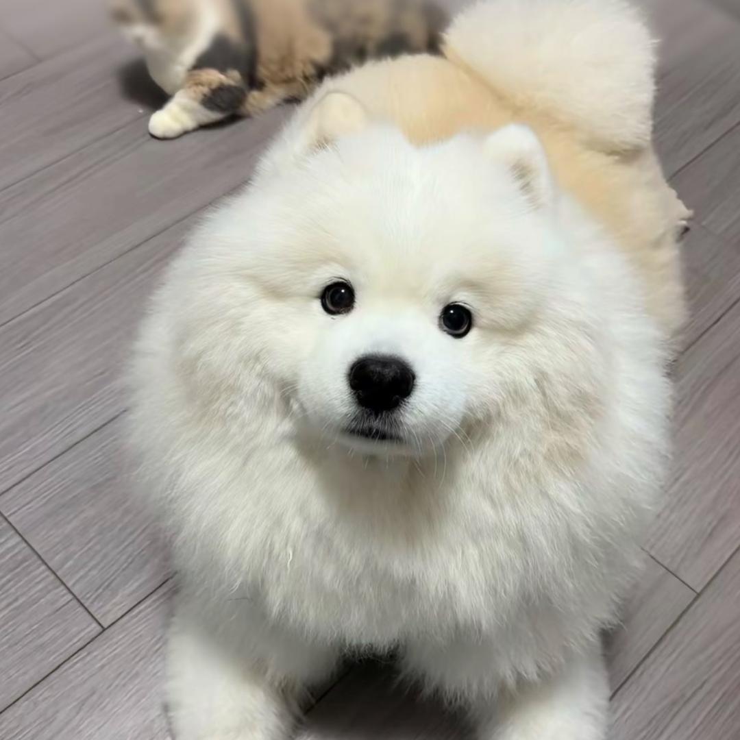 欣🌟