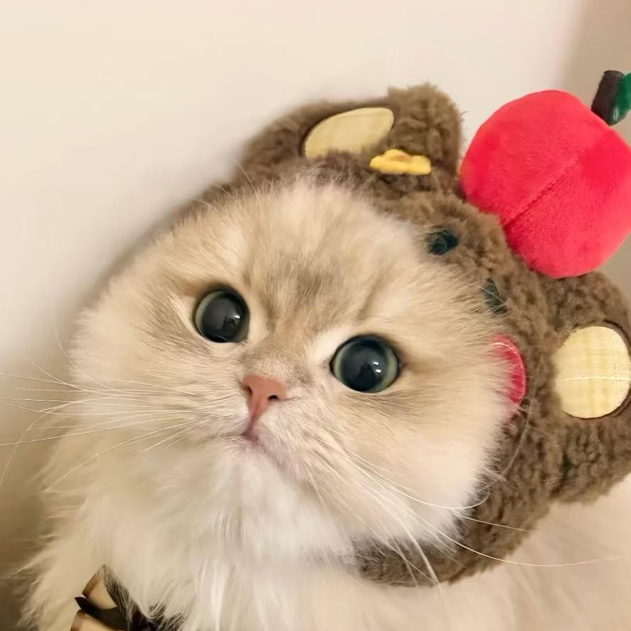 周玥米欧科小主持(汇川校区)