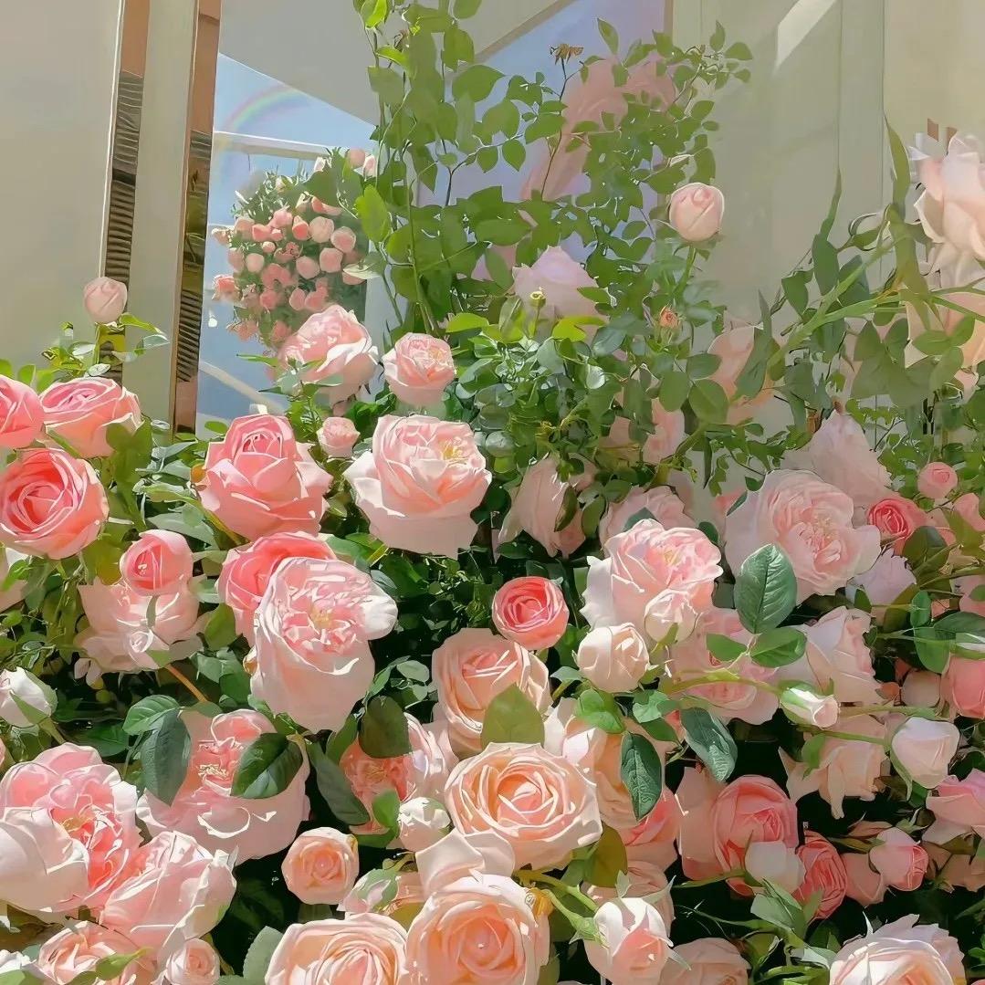 🍓：繁星