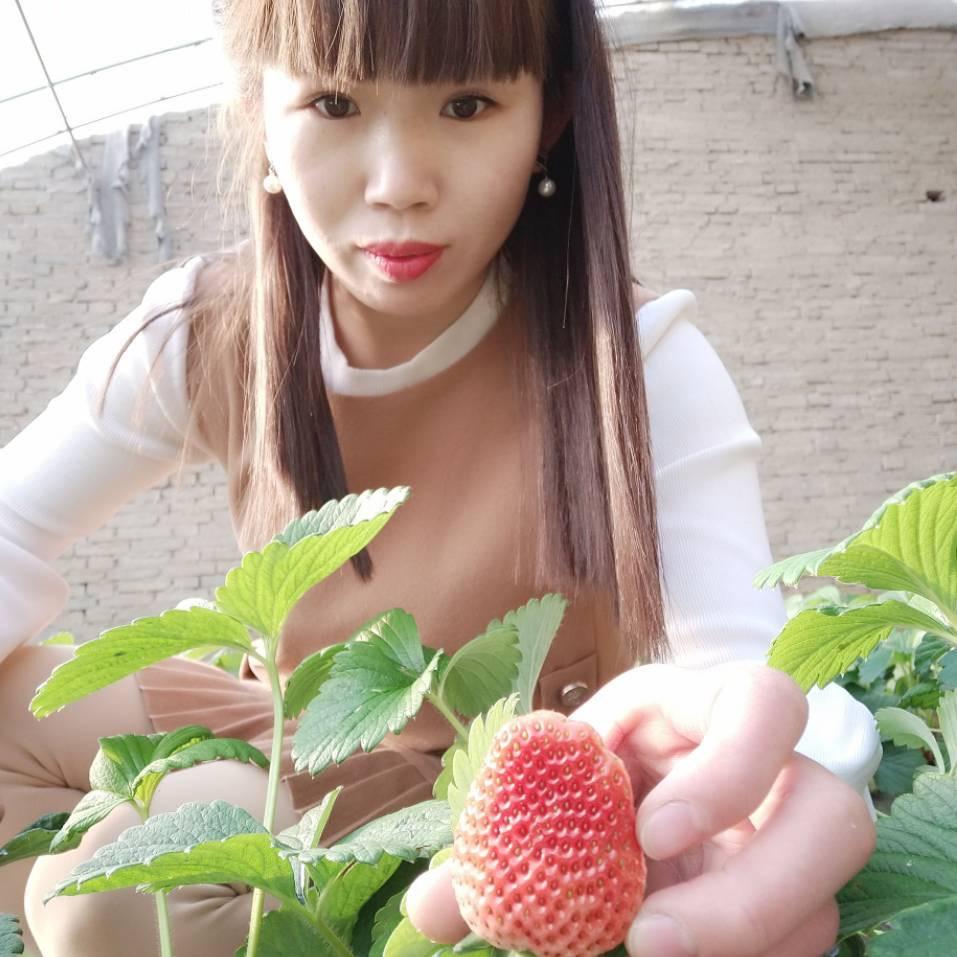 大巧巧烤面筋