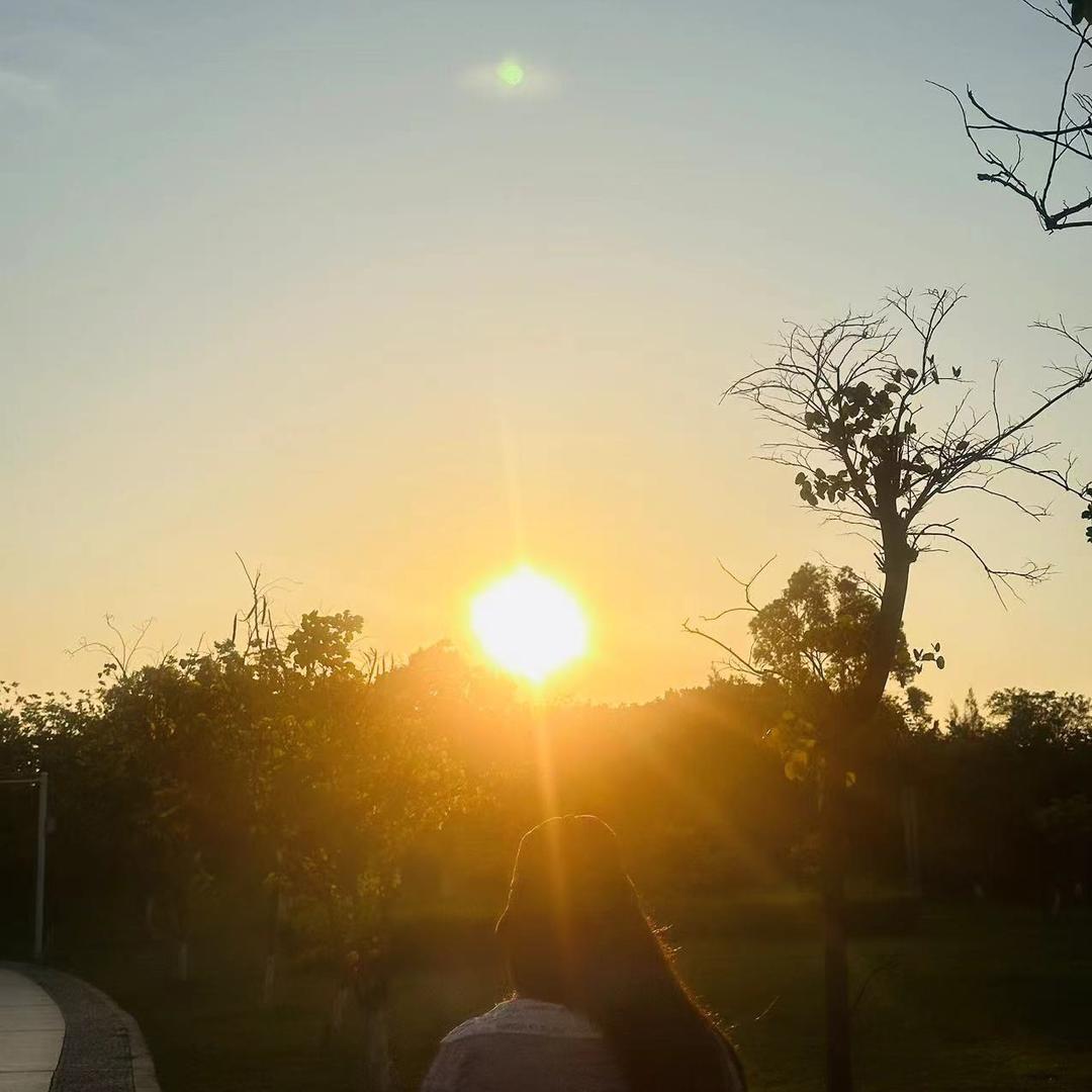 朝夕明月