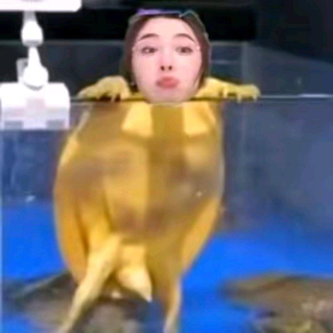 界首市聂婷服装店