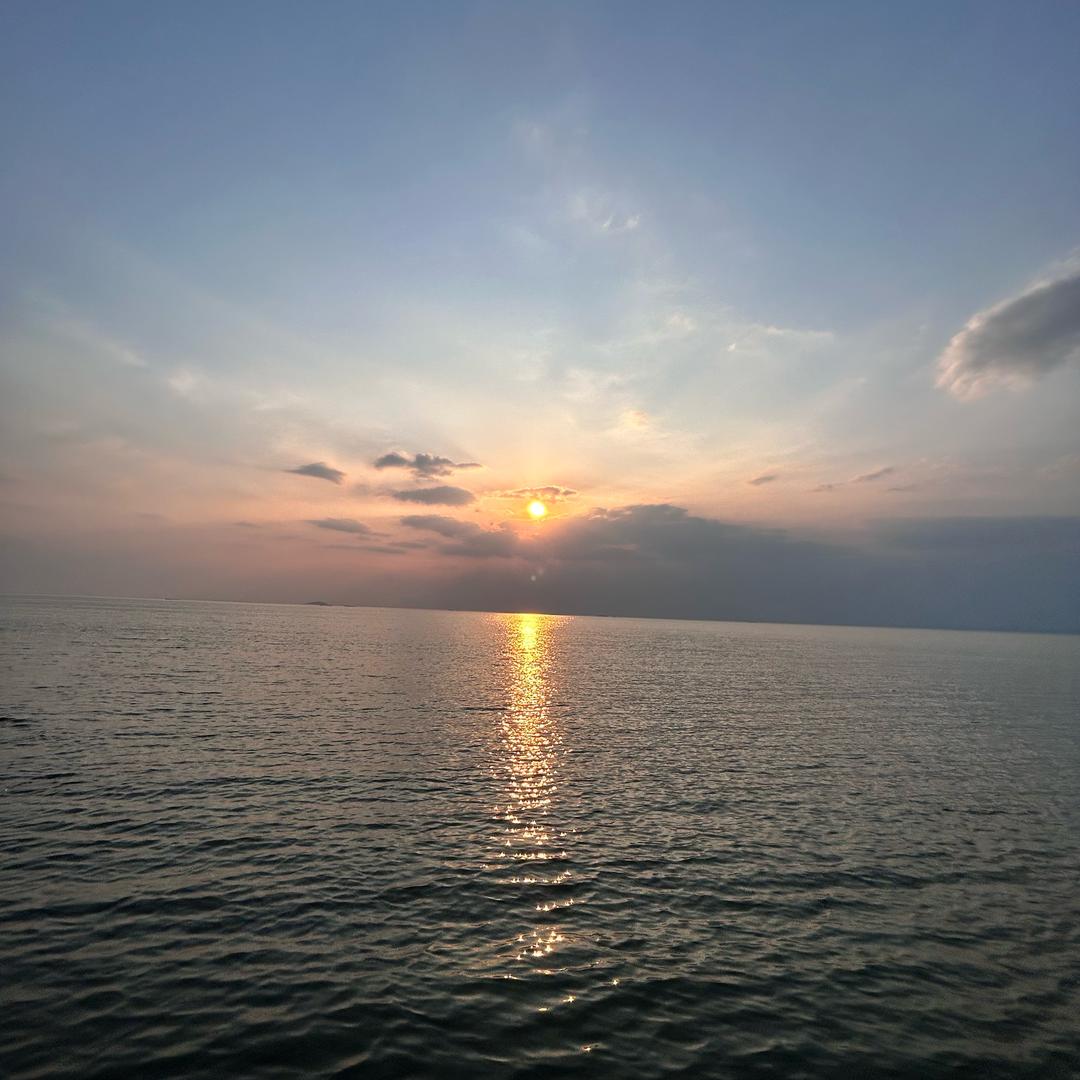 黑坑 暴李