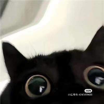 沉弥
