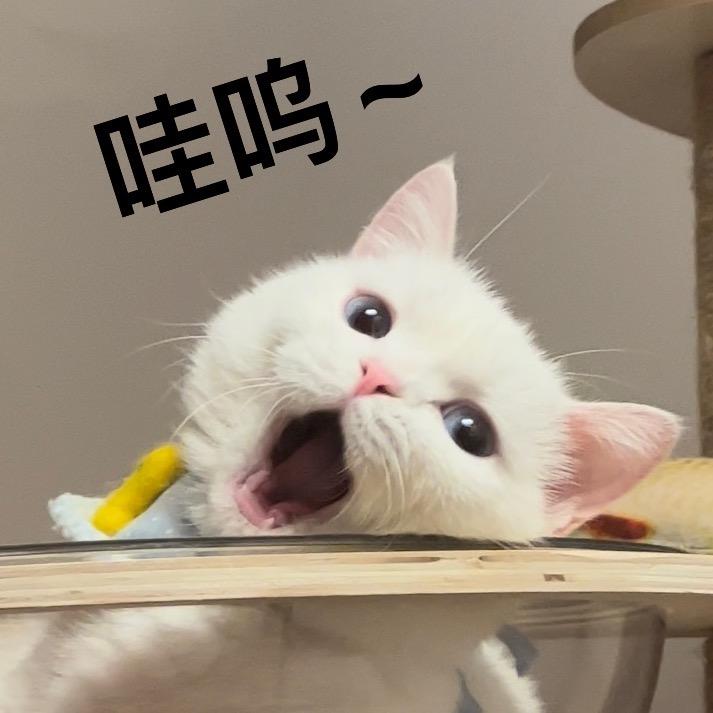 点点滴滴的点点