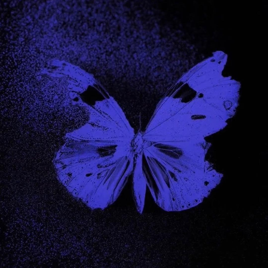 𝙔𝙚𝙫𝙖•🦋