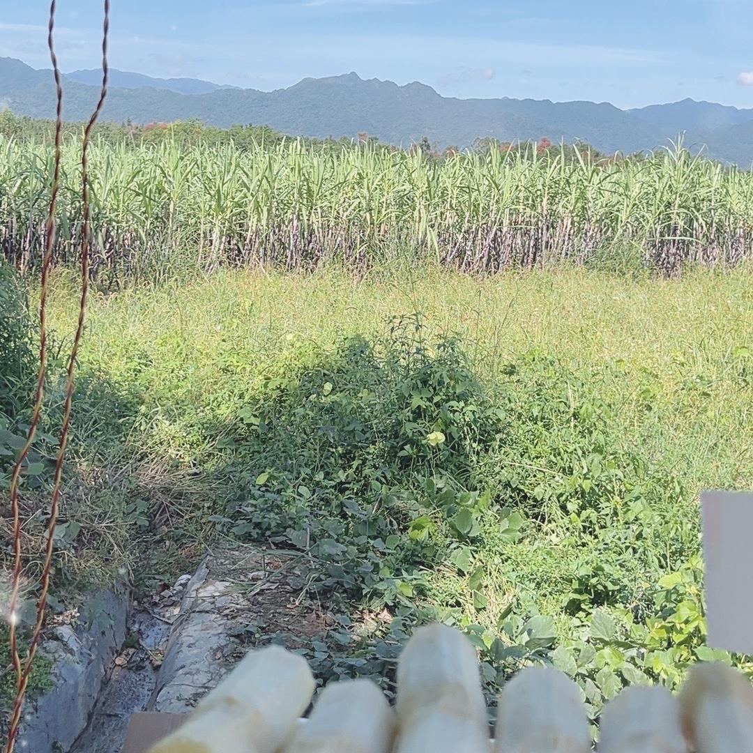 勤欢水果店
