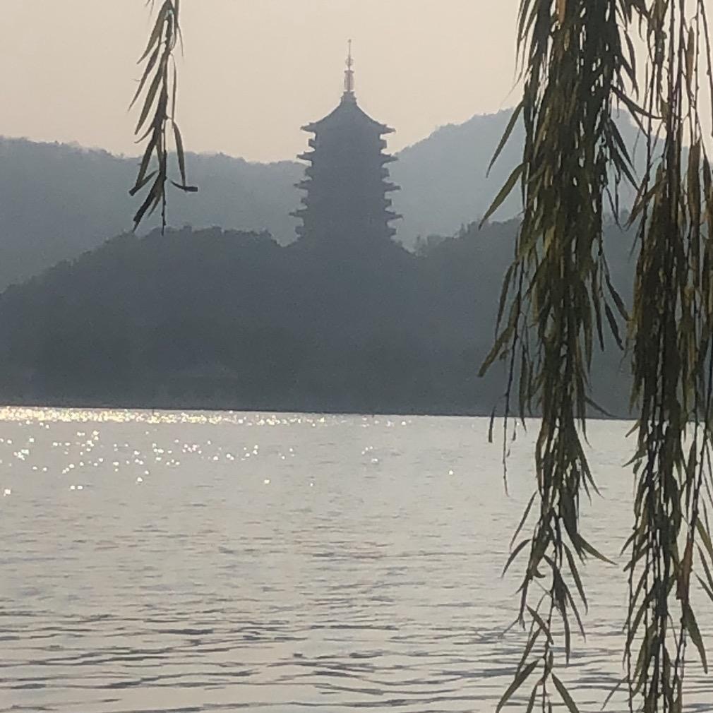 看猴🐵，不救猴🐵