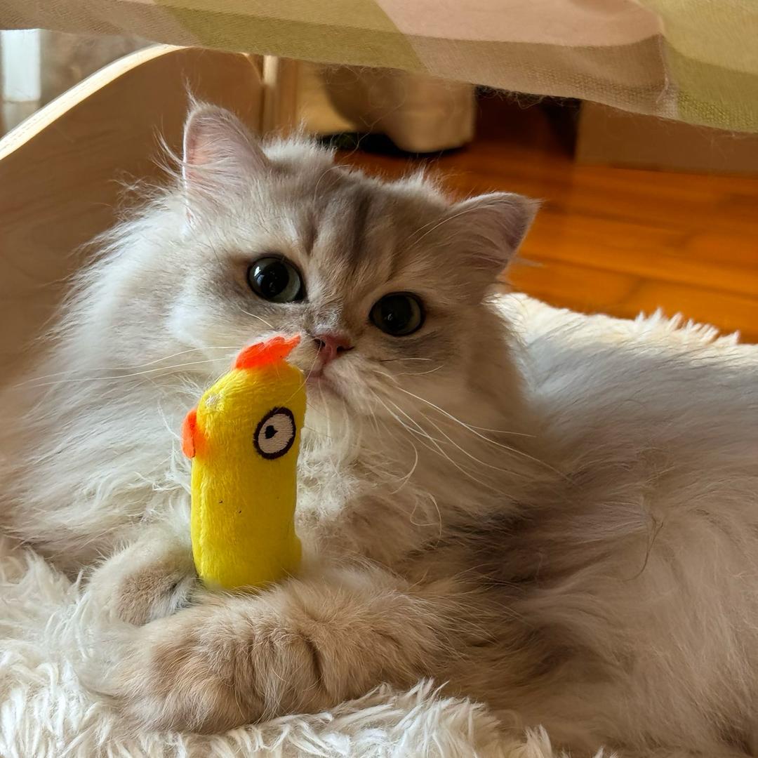 邪恶化身阿婆杀手