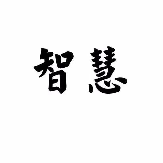 大明智慧