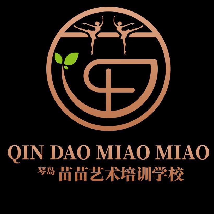 苗苗艺术舞蹈
