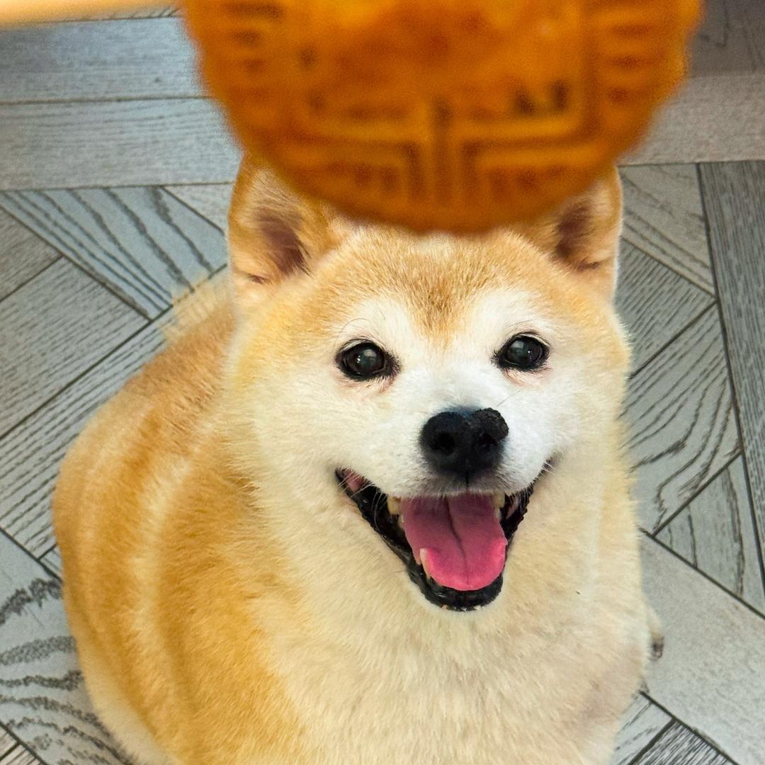 春