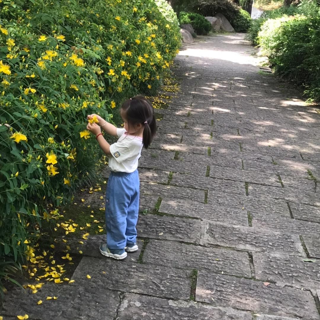 来吧不就是吗