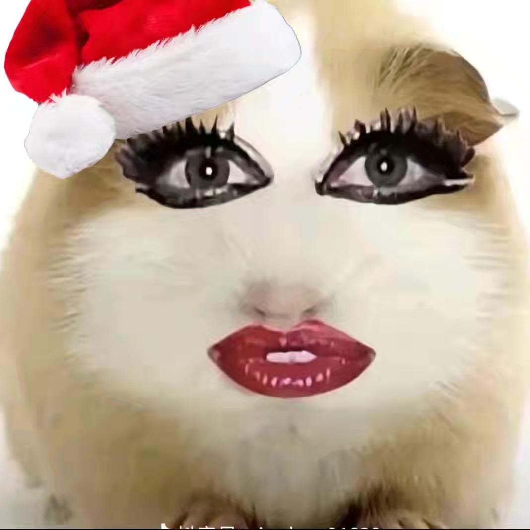 疲惫不堪（赞梦