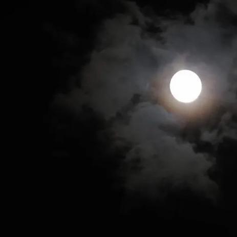 花成花，树成树