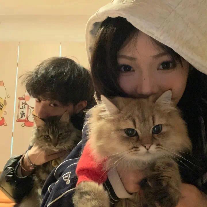 Ccq_0