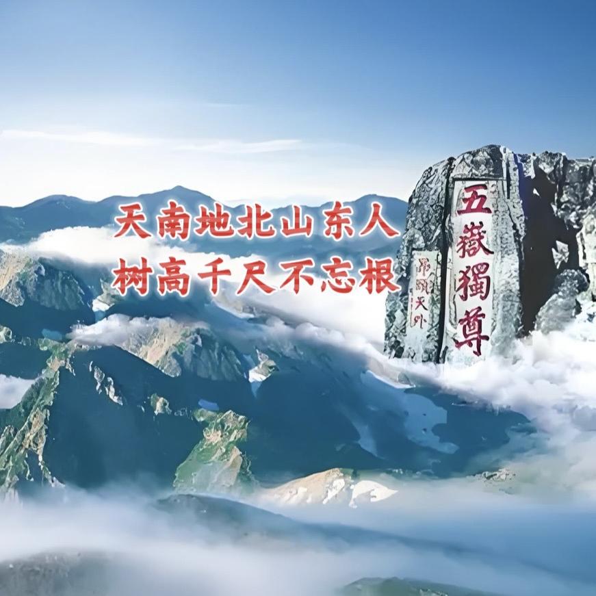 天南地北山东传媒