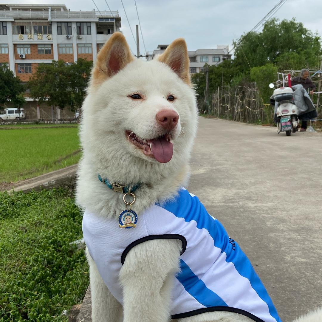 土松波比～