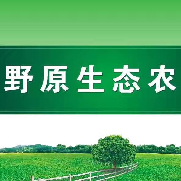 野原生鲜共享平台