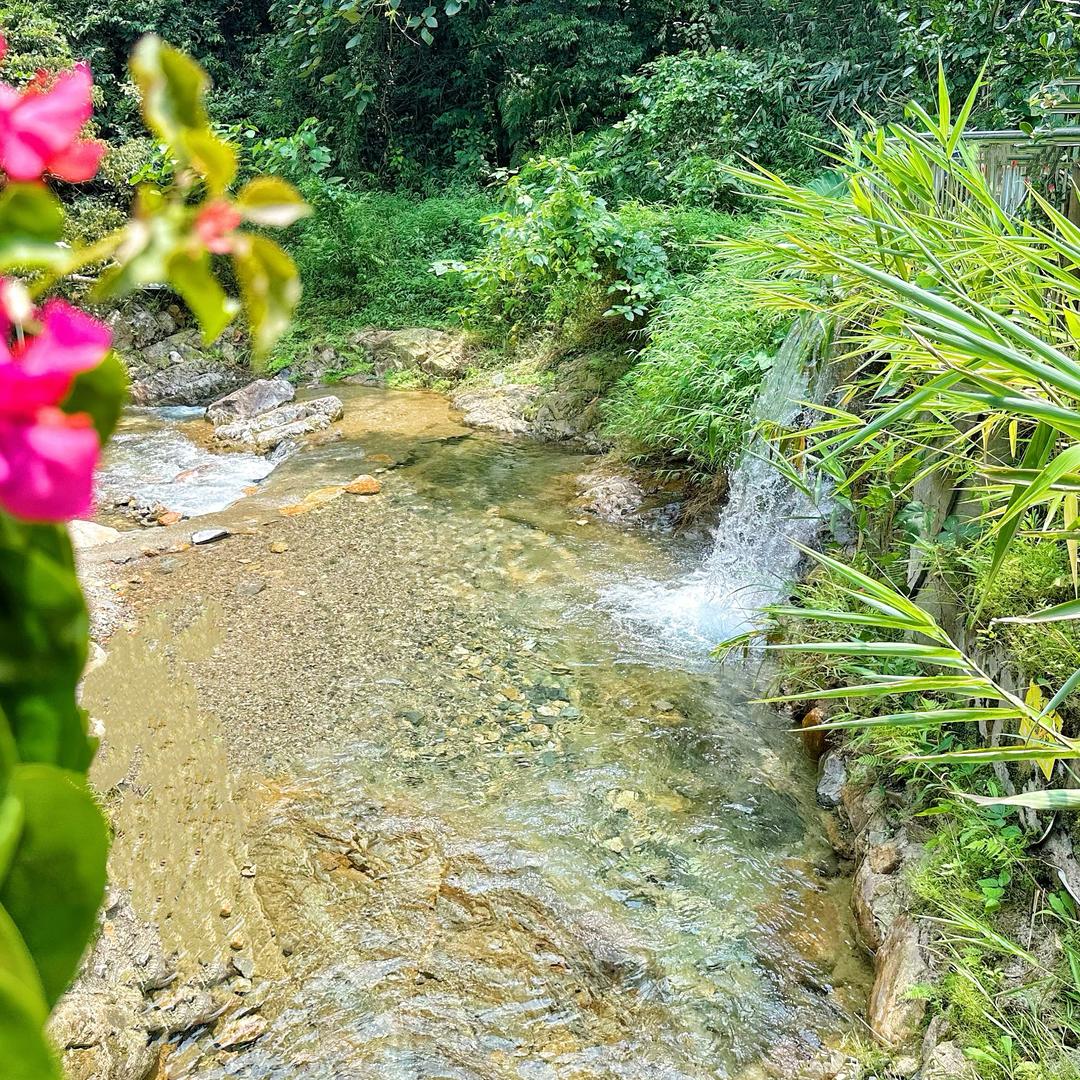 溪山小院
