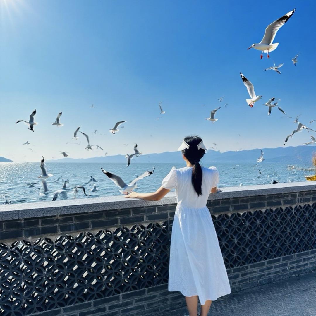 向阳而生♀