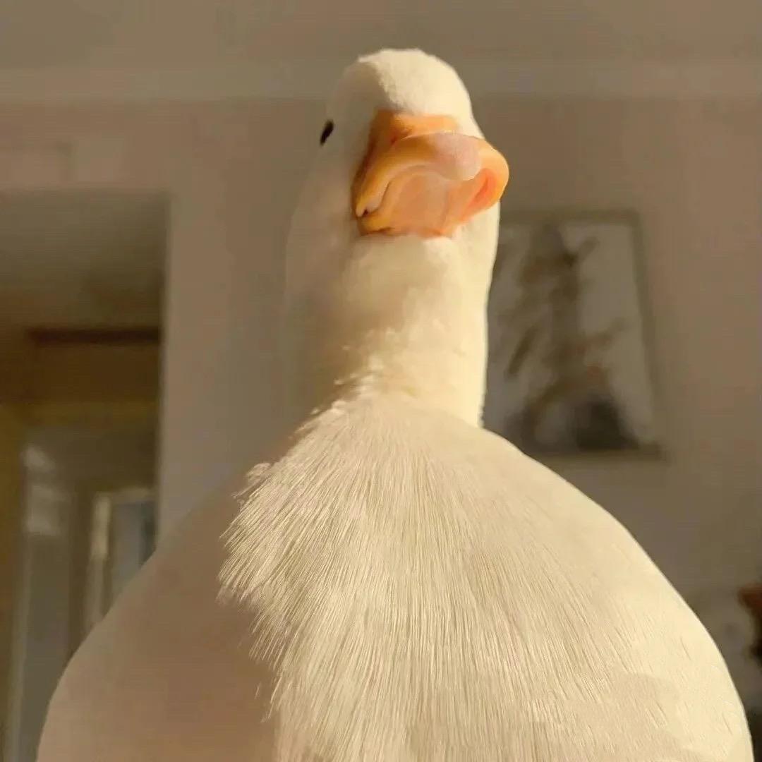 HU