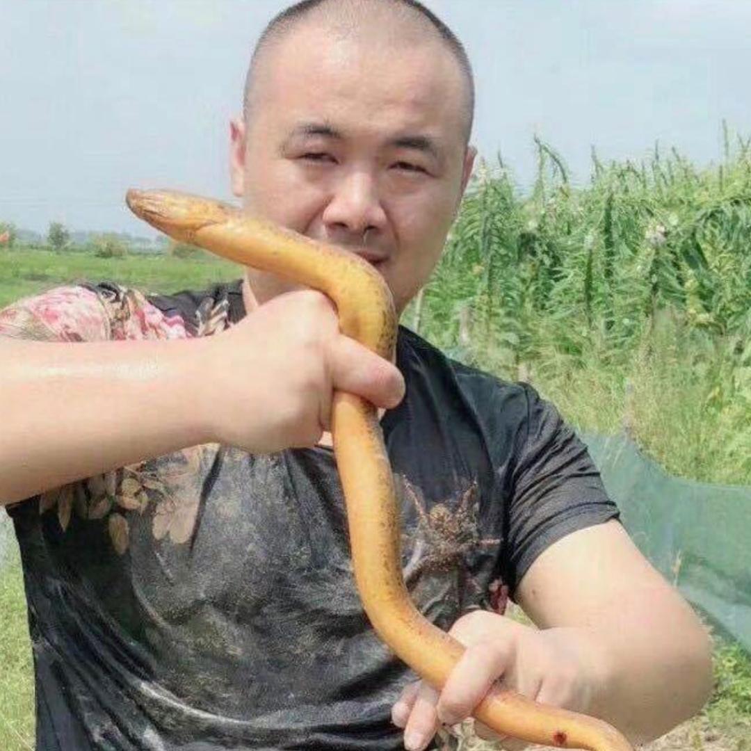 武汉鳝哥