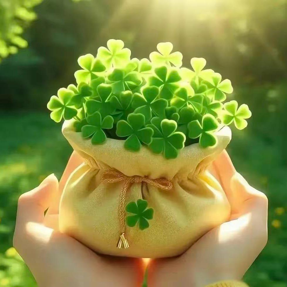 小月养生小课堂🌻