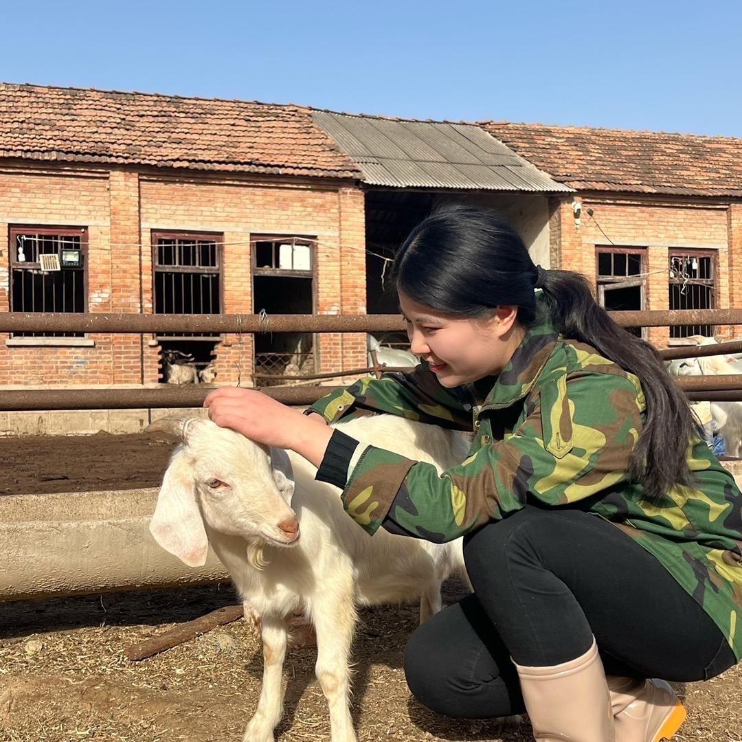 窝窝壮畜牧用品店倩倩