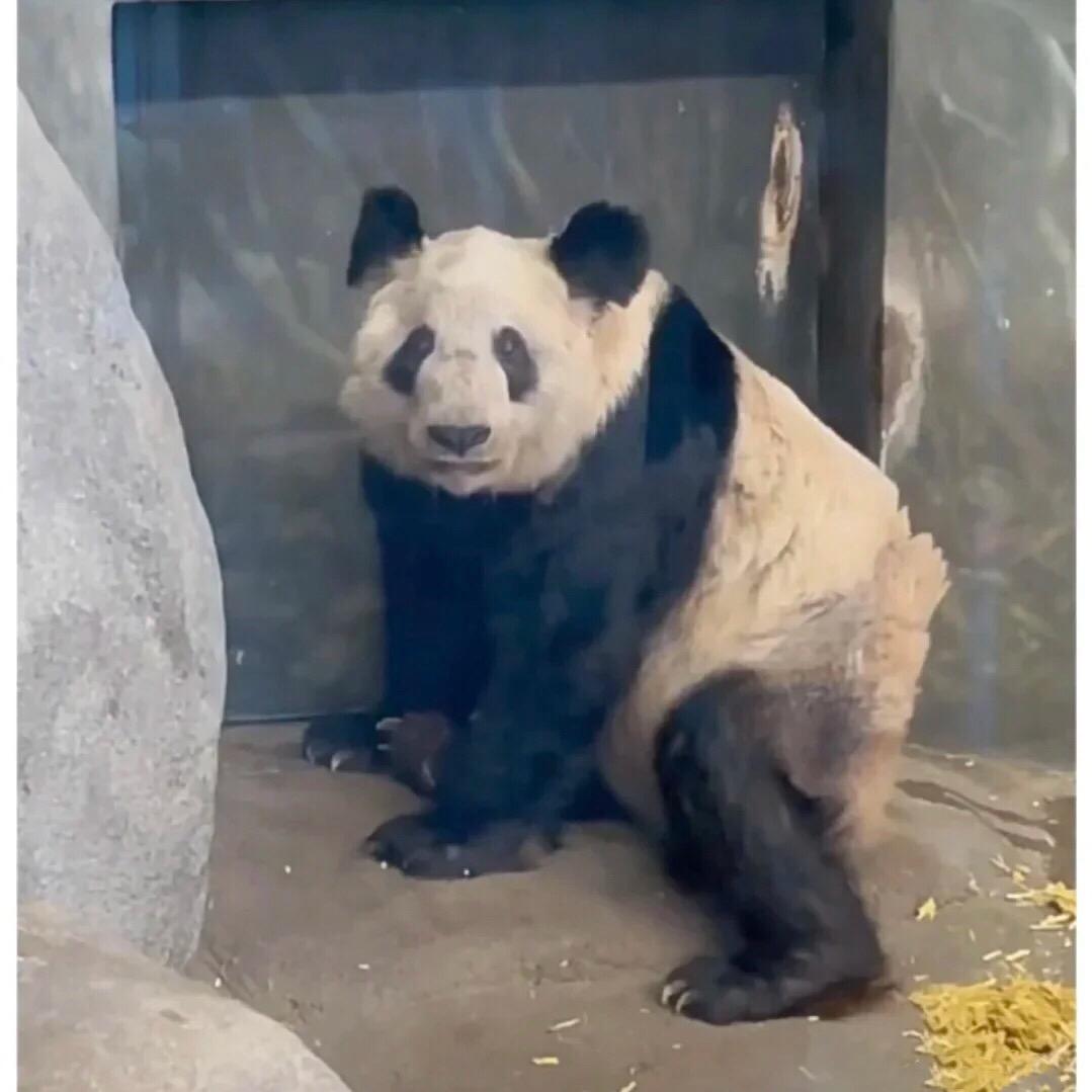 💚小九闯天下🐶