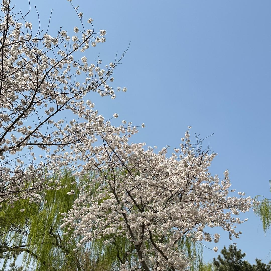健康是福