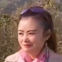 凤丫头