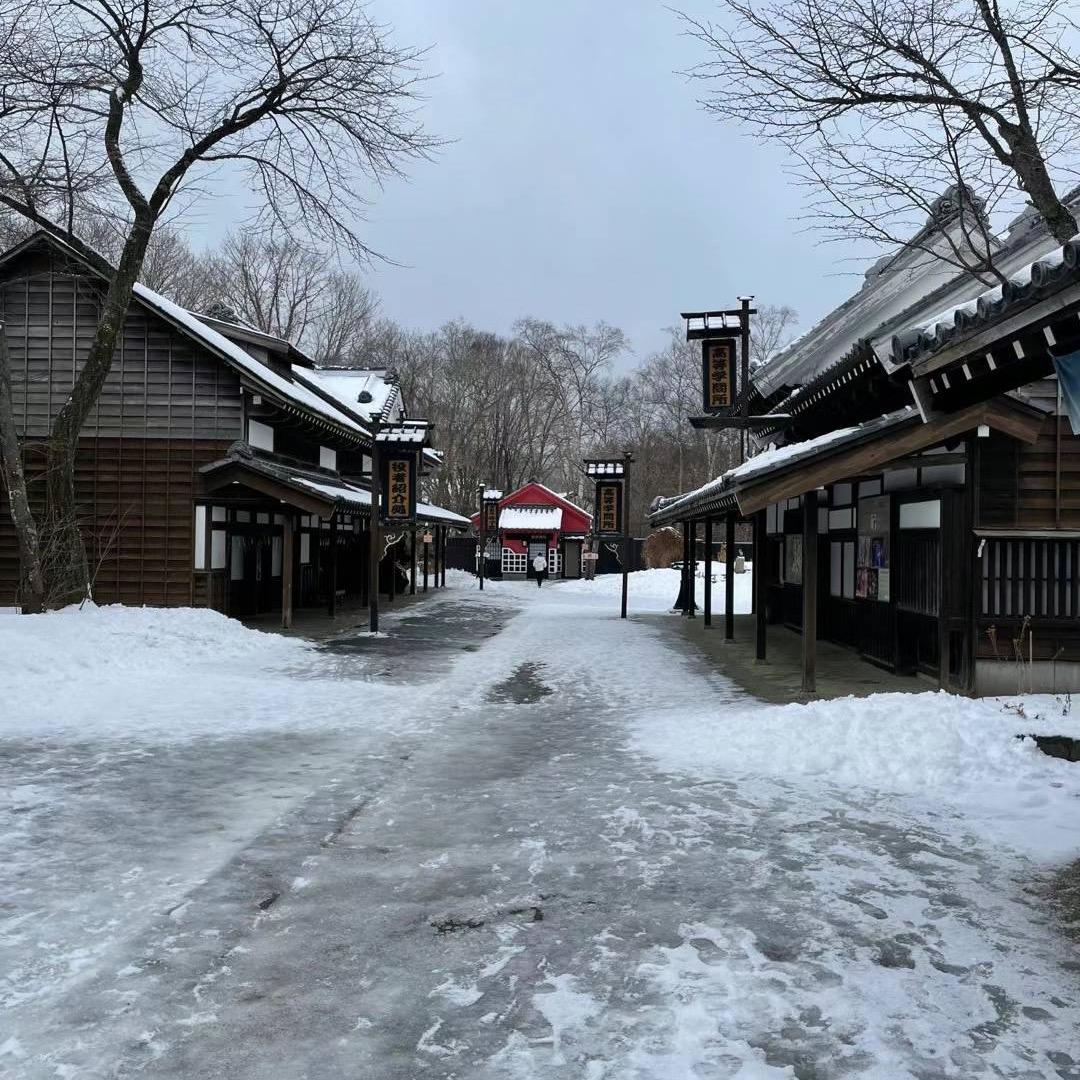 飘扬
