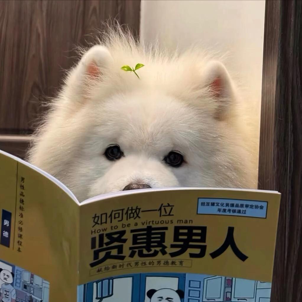 别再相遇⚜️
