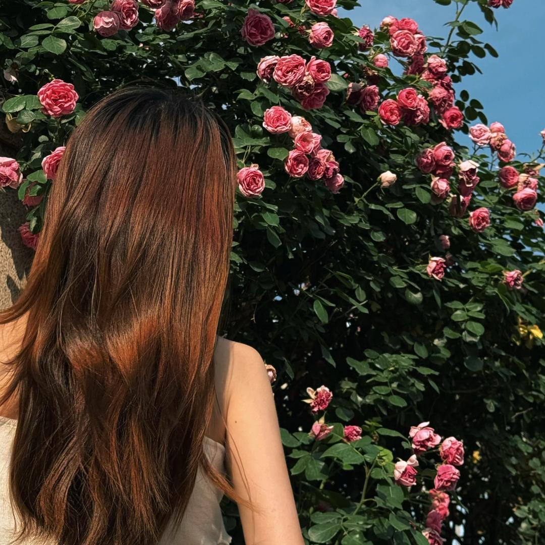 ᥫᩣᩚ₅₂ₒ糖猫⁎͜ږ⁛*