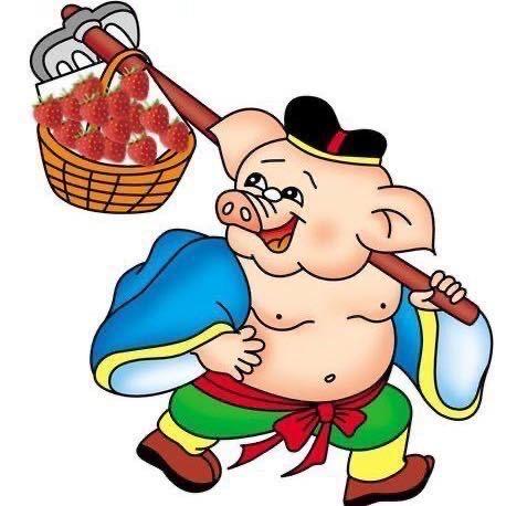 南通心安农资