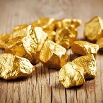 小金豆淘金
