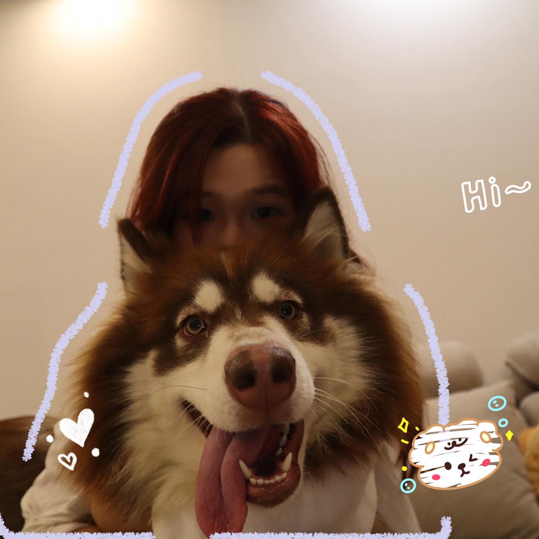 橘子罐头好好吃