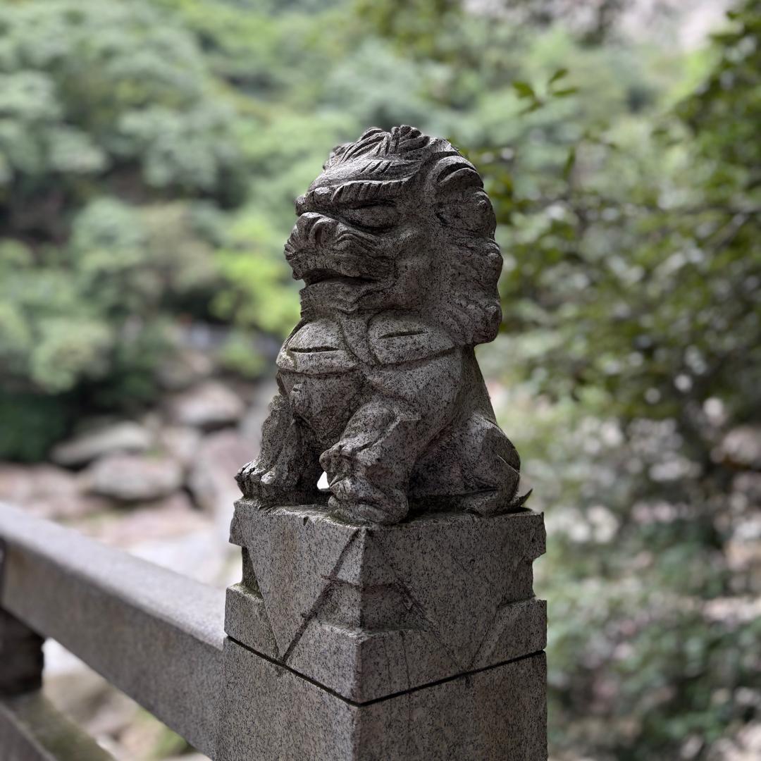 宝乐甄选
