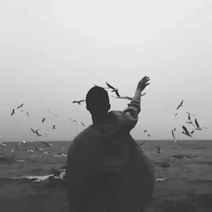强哥爱读