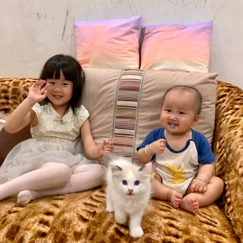 小杨在线