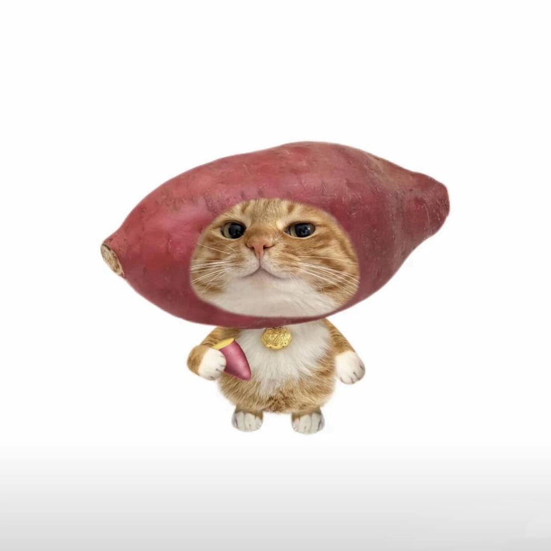 后排炫地瓜