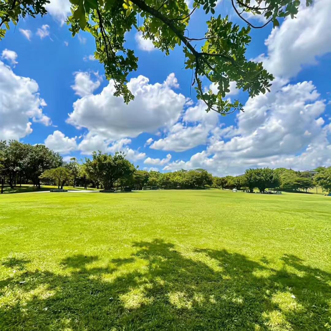 时光不负有心人