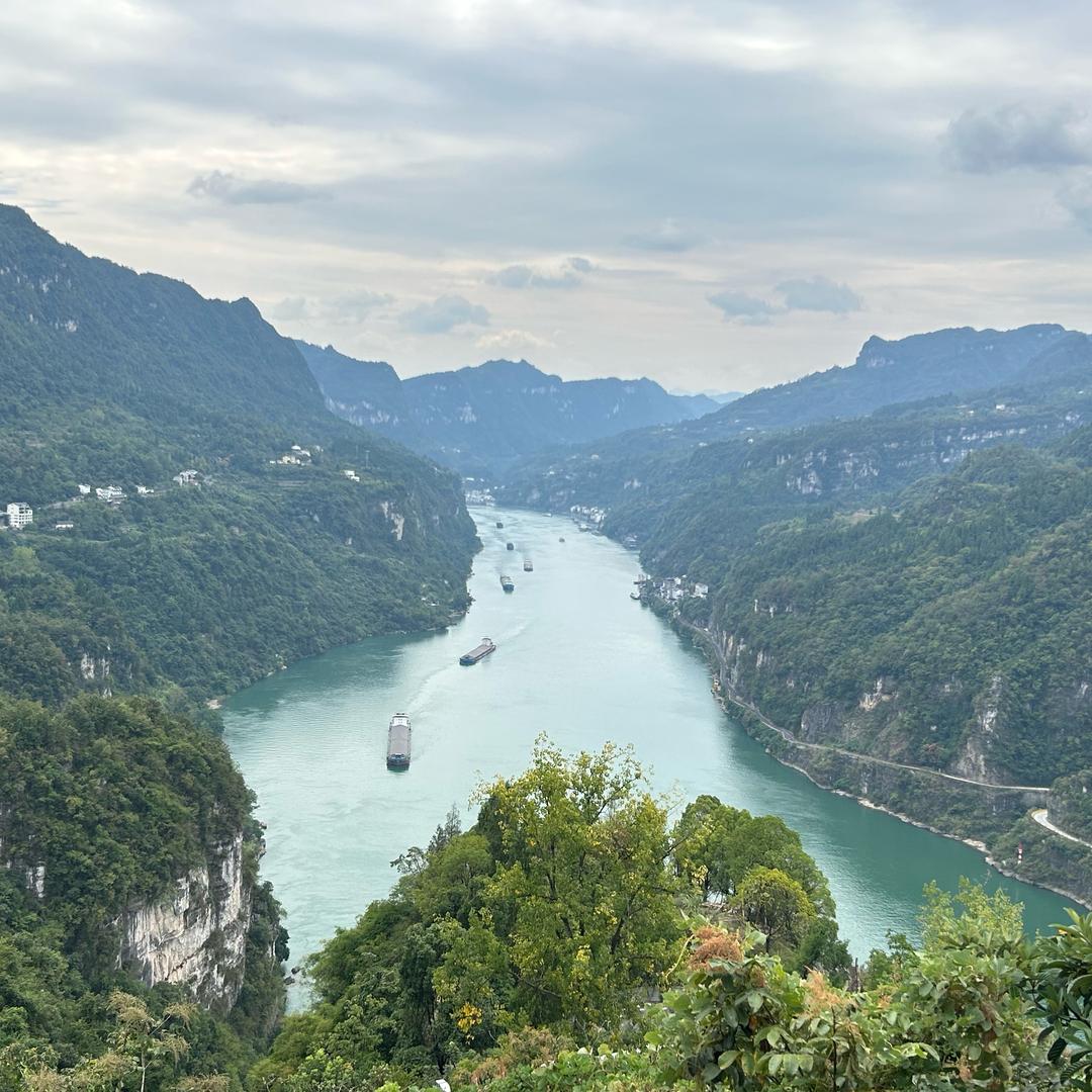 @陳仙生🇨🇳