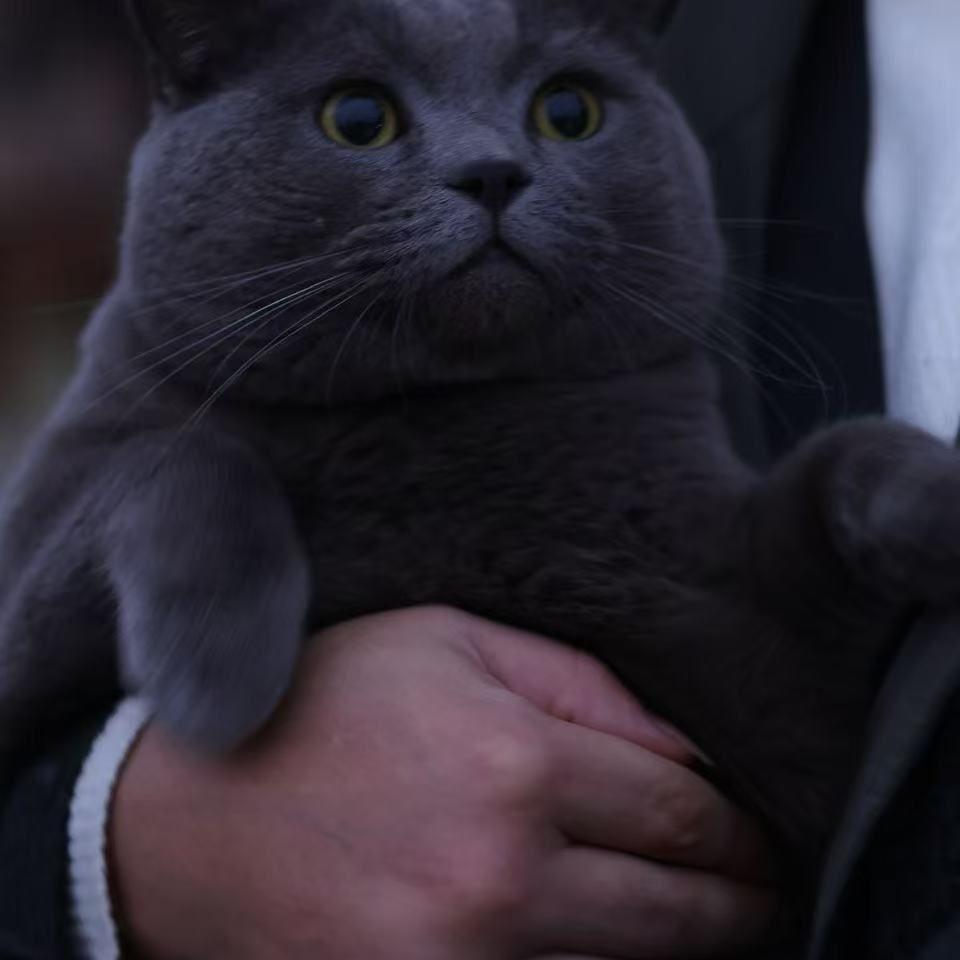 设计师 预约到店上门