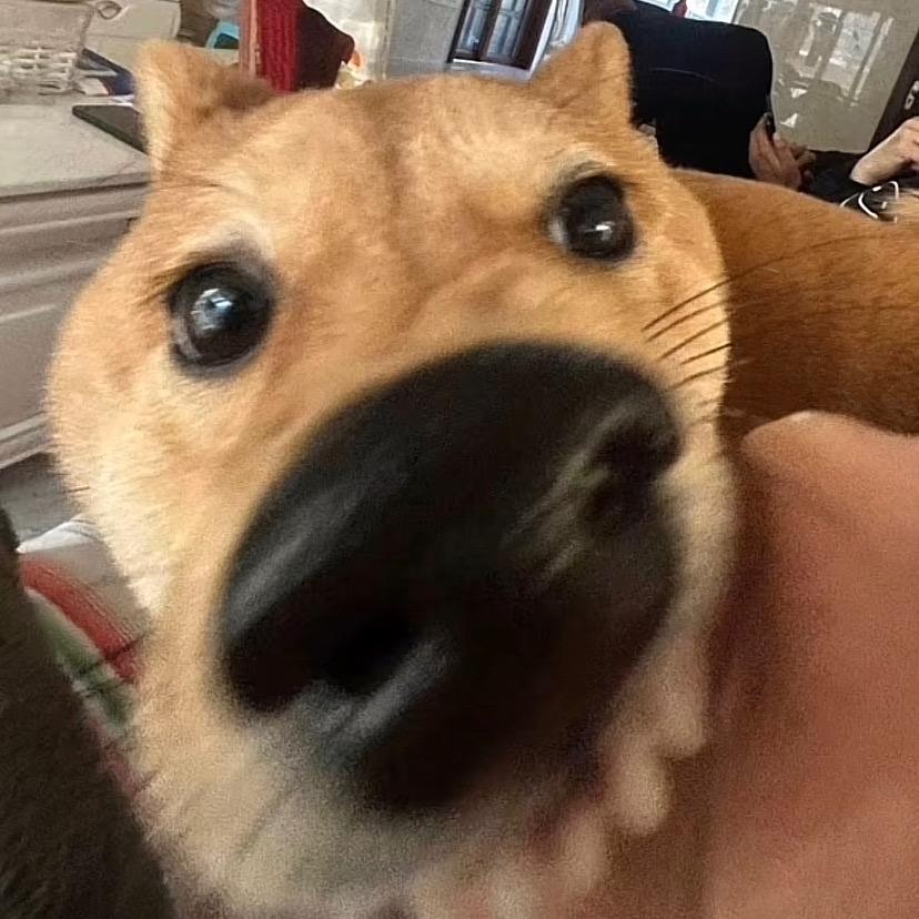 Y‘y