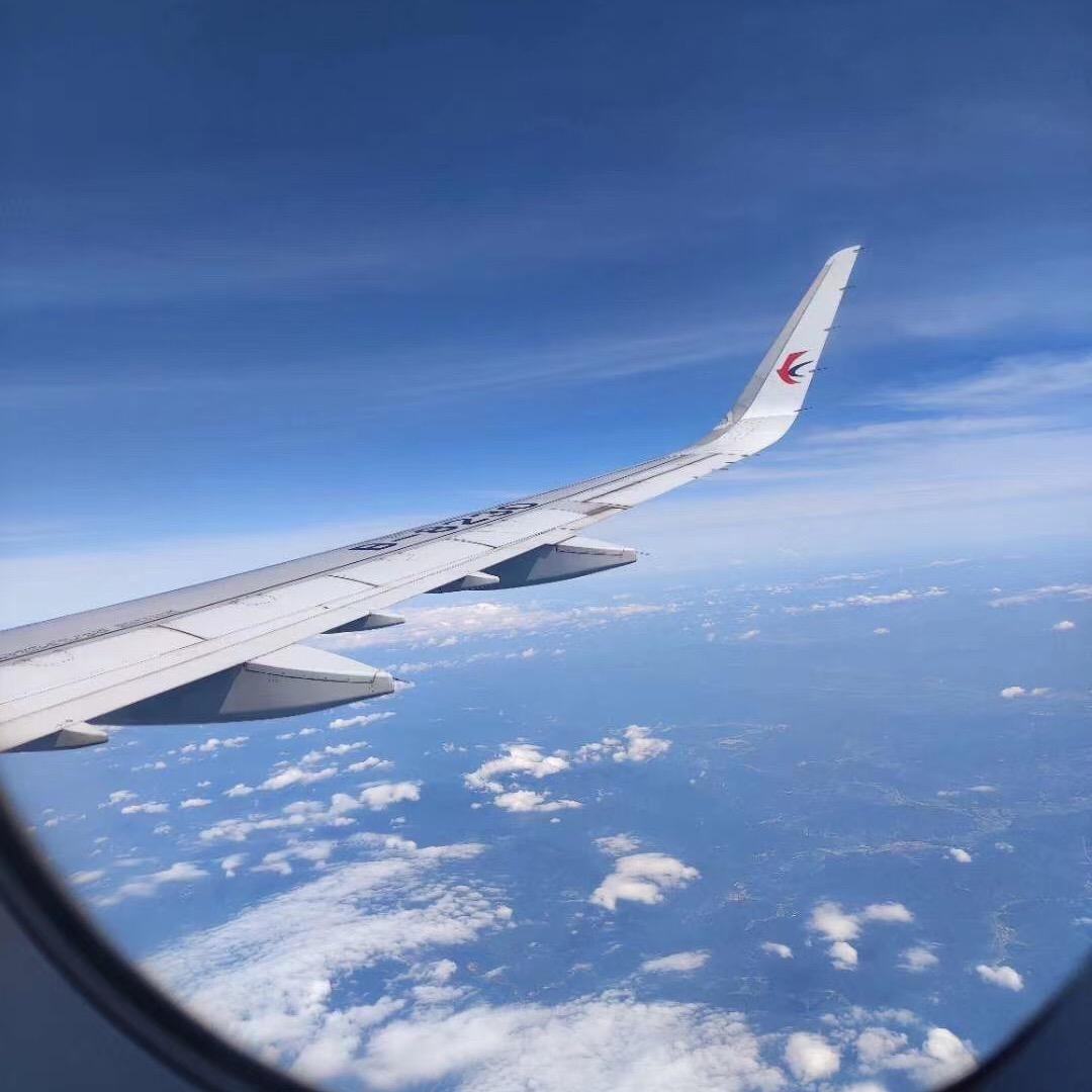 杰尼龟爱划水🐯（三战吃瓜版）