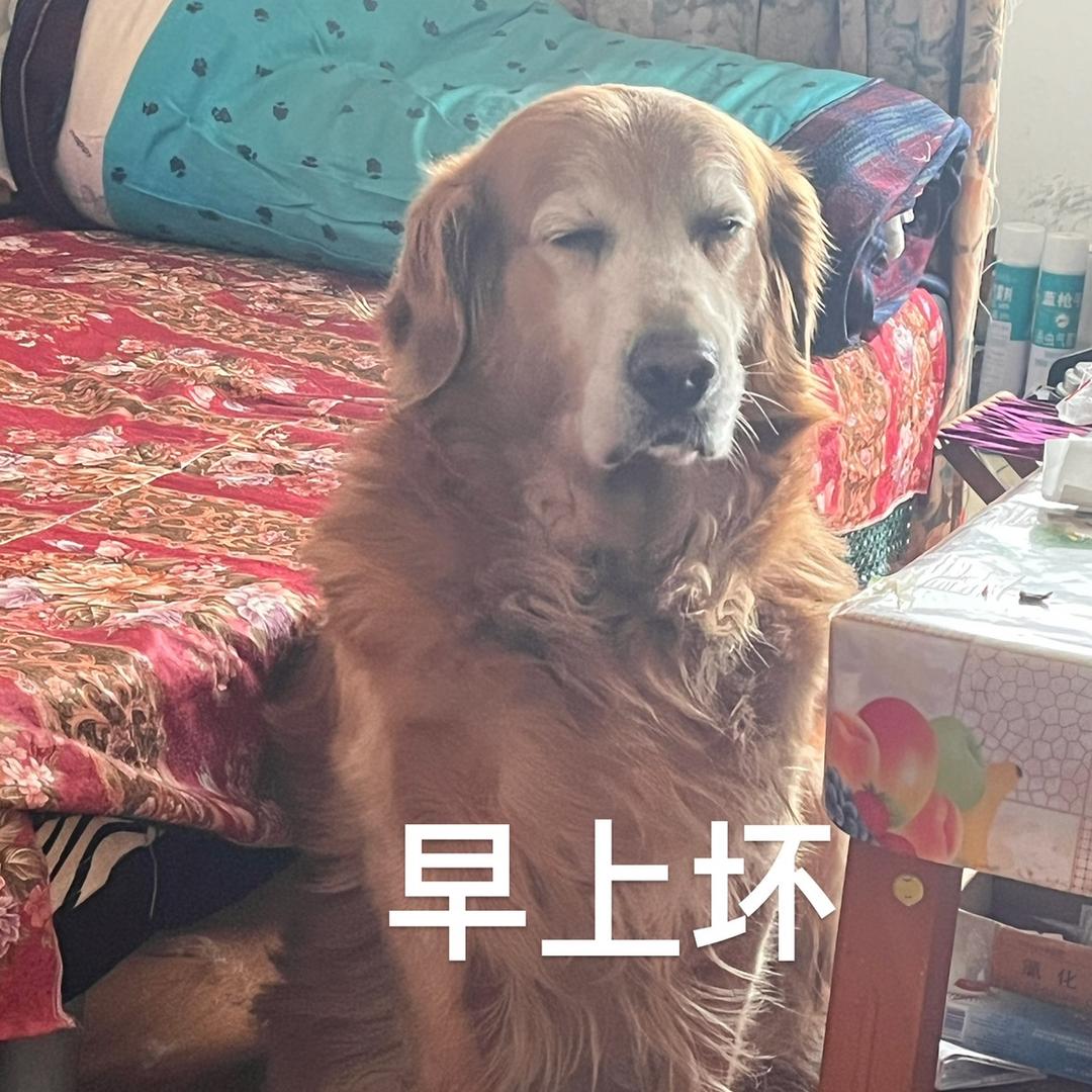 老白脸心眼儿多