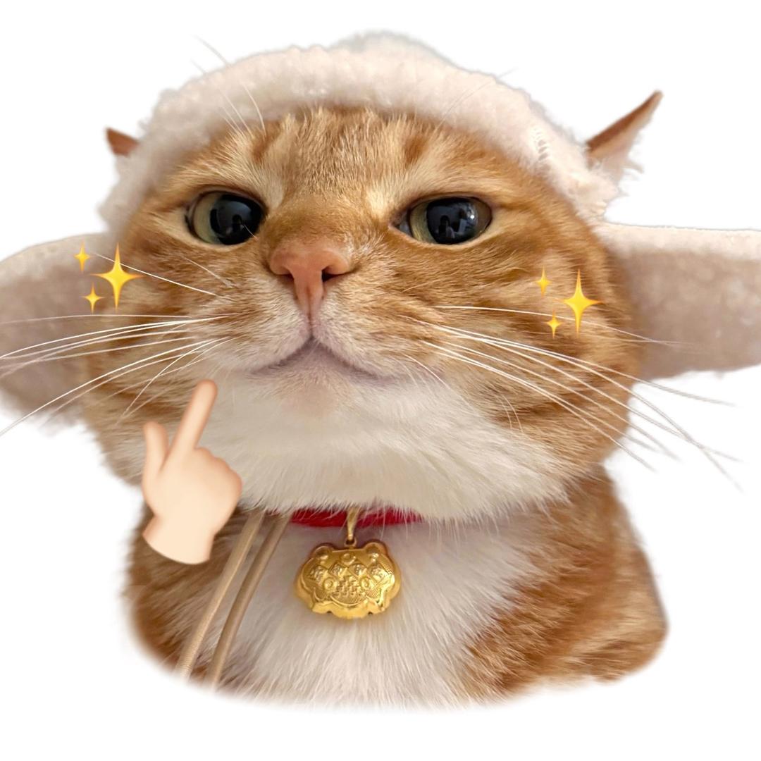 软软💫