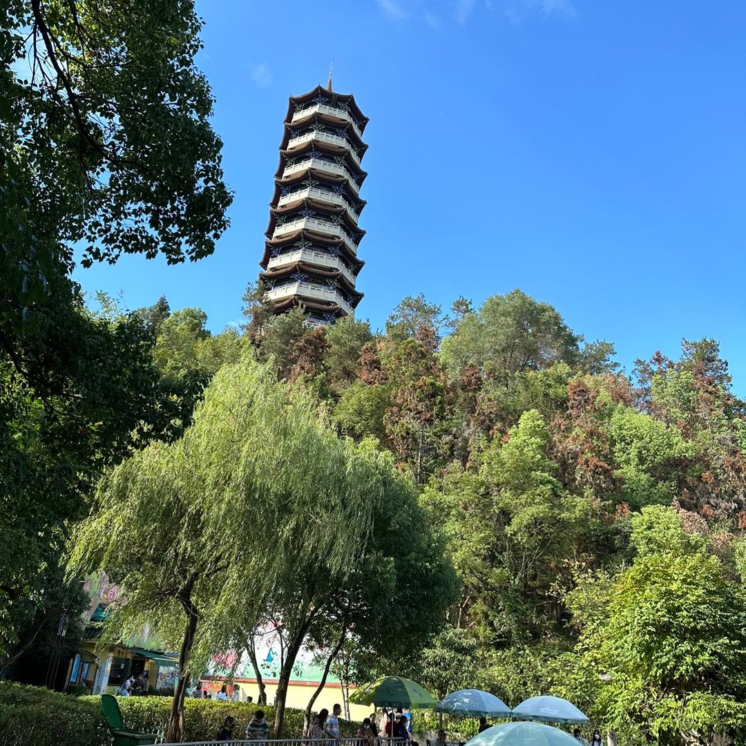 东哥手写